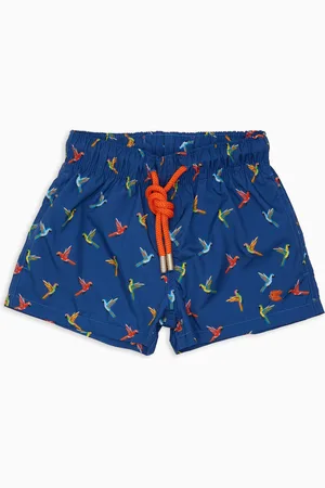 Gallo Boxer mare bambino fantasia pappagalli