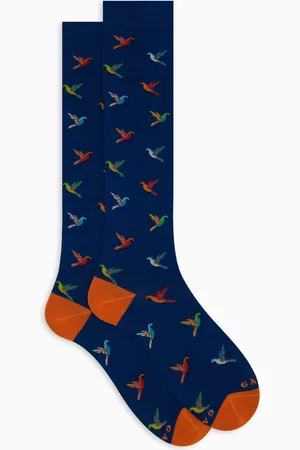 Gallo Calze lunghe donna cotone fantasia pappagalli