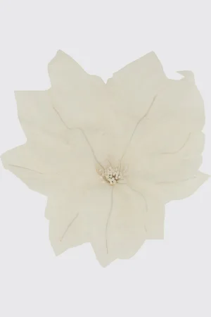 Nina Ricci Spilla Donna colore