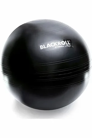 Blackroll Palestra ball 65