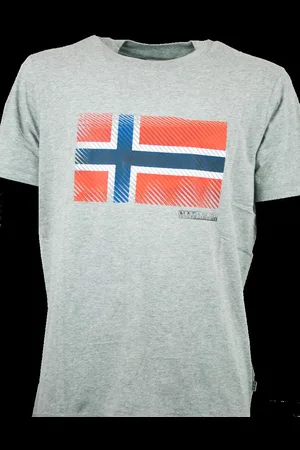 Napapijri T-shirt Sibu Grigia