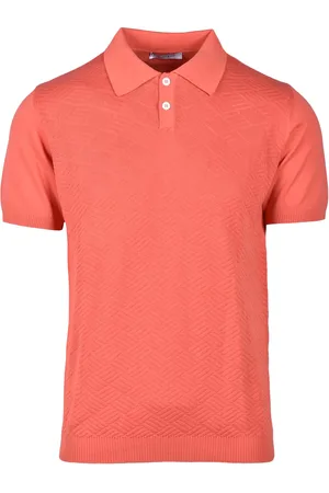 Wool co Polo Basic