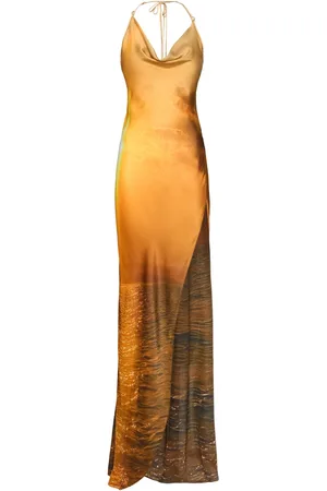 Roberto Cavalli Vestito Lungo In Raso E Chiffon Di Seta Con Stampa