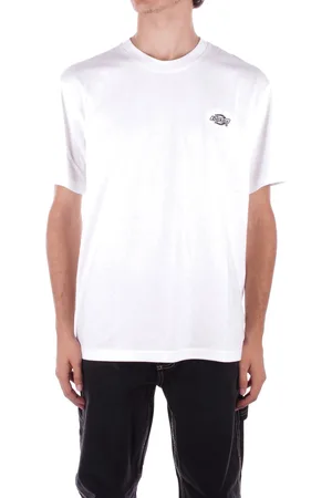 Dickies T-shirt Uomo Summerdale ss tee