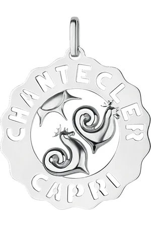 CHANTECLER Donna, Accessori, Grigio, Taglia unica, new