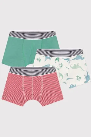 Petit Bateau Set di 3 boxer in cotone con stampa di dinosauri bambino
