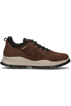 IGI&CO Sneaker uomo caffè in gore-tex