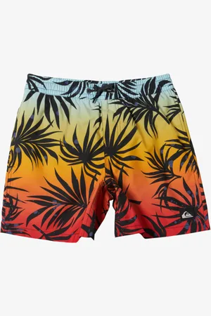 Quiksilver Everyday Mix Volley - Bermuda da bagno da Ragazzo 8-16