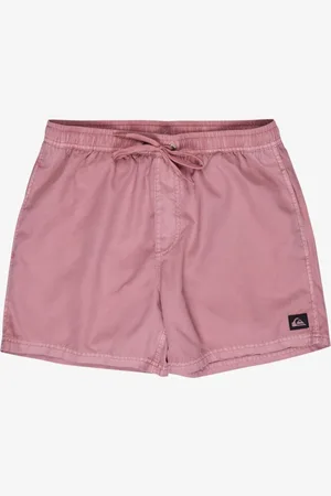 Quiksilver Everyday Surfwash 15" - Bermuda da bagno da Uomo