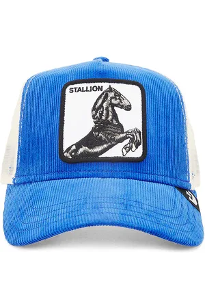 Goorin Bros. Sly Stallion Hat in