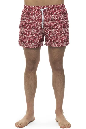 Kiton Boxer mare
