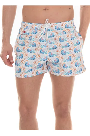 Kiton Boxer mare