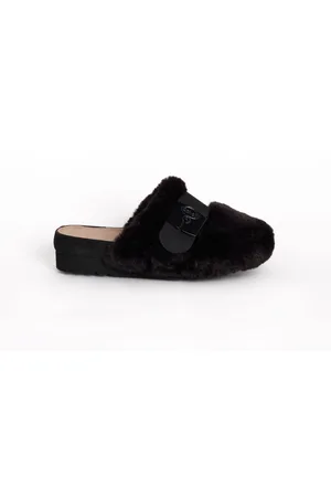 Scholl Alaska