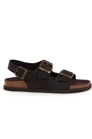 Scholl Gaston