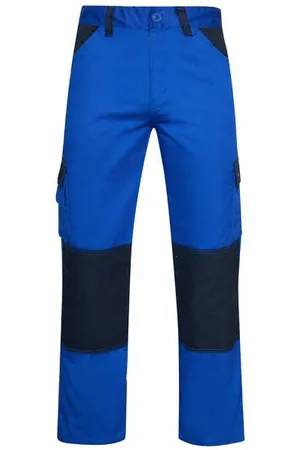 Dickies Everyday Trouser Uomo Pantaloni da lavoro ED247RRBN