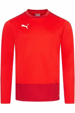 PUMA TeamGOAL Training Sweat Uomo Maglione 656478-01