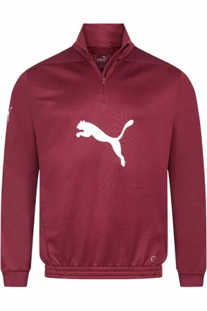 PUMA Foundation BigCAT 1/2-Zip Uomo Felpa 654251-26