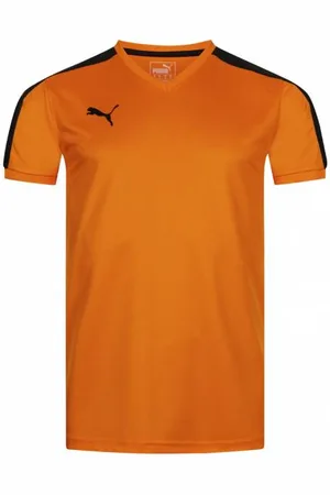 PUMA Team Uomo Maglia 703378-01