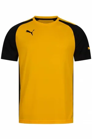 PUMA Speed Uomo Maglia 701906-07