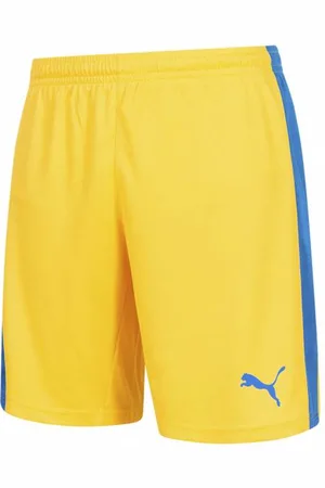 PUMA Pitch Uomo Pantaloncini con pantaloni interni 702075-20