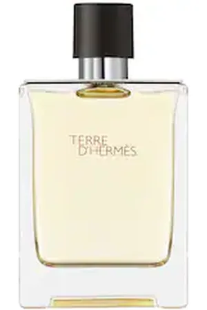 Hermès Terre D