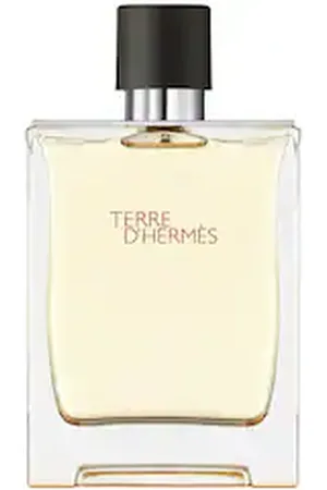 Hermès Terre D