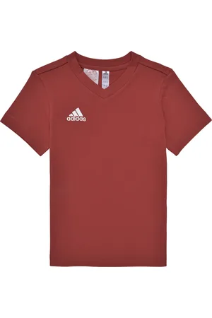 adidas T-shirt ENT22 TEE Y