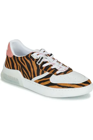 Coach Sneakers basse CITYSOLE COURT