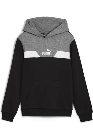 PUMA Felpa POWER COLORBLOCK HOODIE TR
