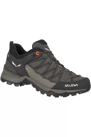 Salewa MTN Trainer Lite GTXblank-spacescarpe trekking