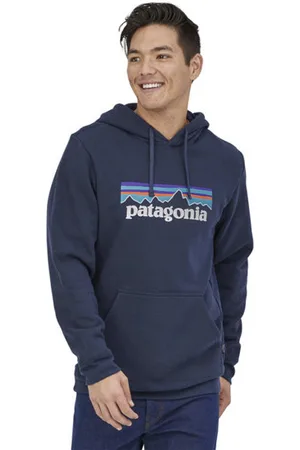 Patagonia P-6 Logo Uprisalblank-spacefelpa con cappuccio