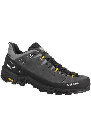 Salewa Alp Trainer 2 GTX Mblank-spacescarpe trekking