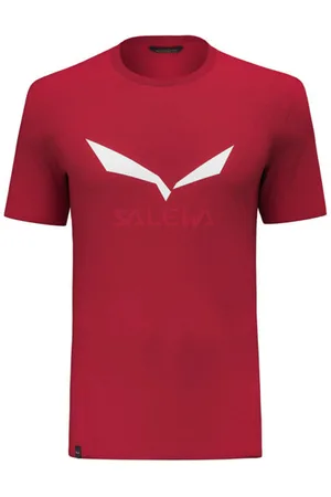 Salewa Solidlogo Dri-Releaseblank-spaceT-shirt trekking