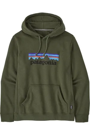 Patagonia P-6 Logo Uprisalblank-spacefelpa con cappuccio