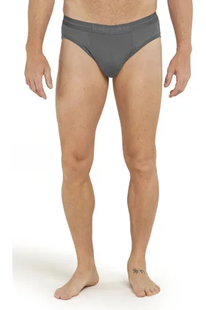 Icebreaker Merino Anatomicablank-spaceslip