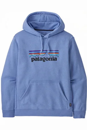 Patagonia P-6 Logo Uprisalblank-spacefelpa con cappuccio