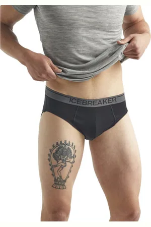 Icebreaker Merino Anatomica Briefsblank-spaceslip