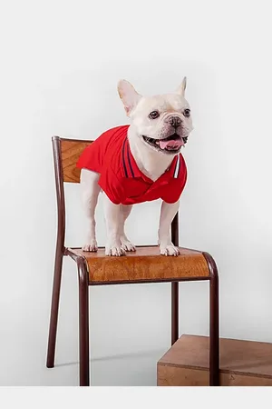 Tommy Hilfiger Polo per cani con colletto e bandierina