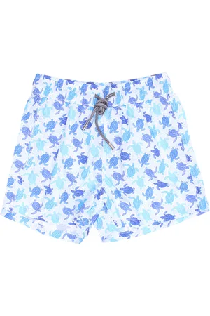DETWELVE Boxer mare