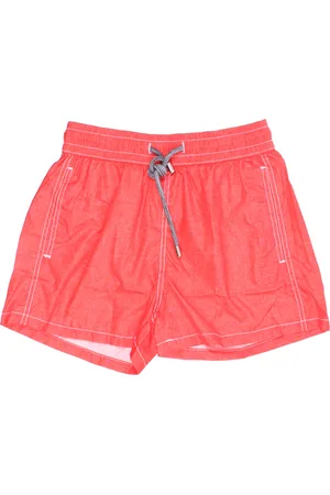 DETWELVE Boxer mare