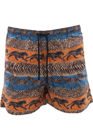 Tooco Boxer mare