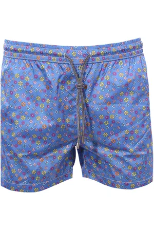 DETWELVE Boxer mare