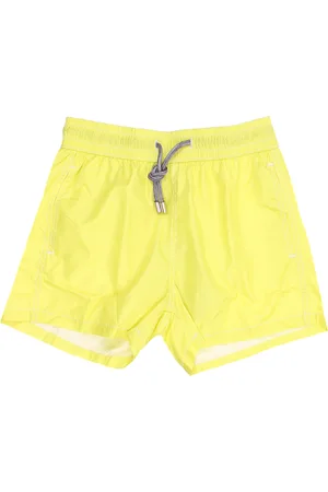 DETWELVE Boxer mare