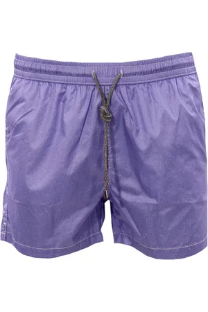 DETWELVE Boxer mare